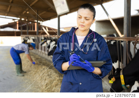 Middle-aged female vet checking cows with tablet at dairy farm Middle-aged female vet checking cows with tablet at dairy farm 128760728