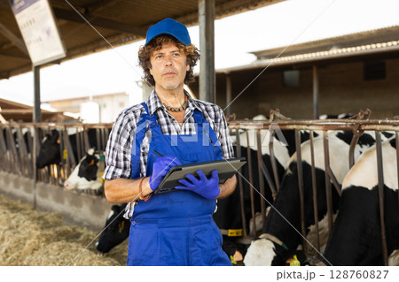 Middle-aged male vet checking cows with tablet at dairy farm 128760827