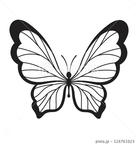 butterfly in outline 128761023