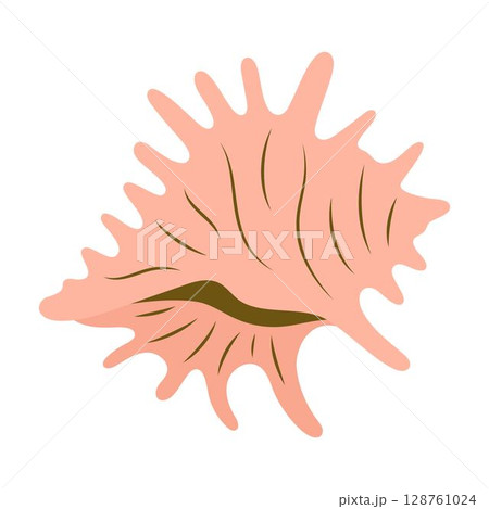 cartoon seashell, flat style cartoon seashell, flat style 128761024
