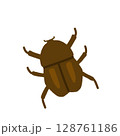 カブトムシ（メス） 128761186
