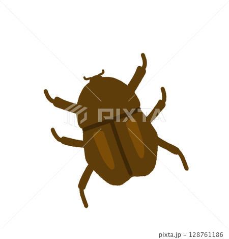 カブトムシ（メス） 128761186