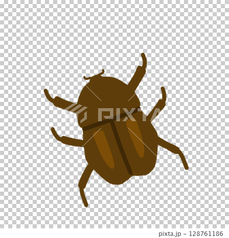 カブトムシ（メス） 128761186