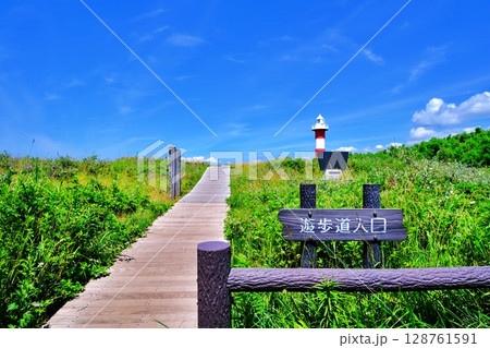 はまなすの丘公園の風景 (北海道石狩市) はまなすの丘公園の風景 (北海道石狩市) 128761591
