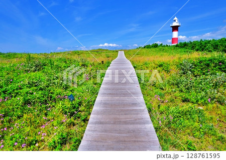 はまなすの丘公園の風景　(北海道石狩市) 128761595