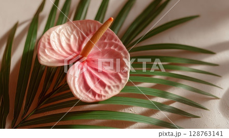 Pink Anthurium Flower on Green Palm Leaf 128763141
