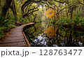 Autumnal Swamp Walkway with Reflections 128763477