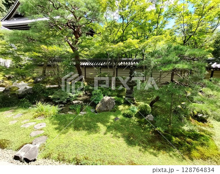 永観堂（禅林寺） 128764834