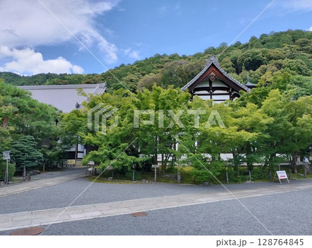 永観堂(禅林寺) 永観堂(禅林寺) 128764845