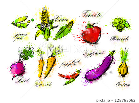 Vegetable set hand drawn. Not AI, Vector illustration Vegetable set hand drawn. Not AI, Vector illustration 128765062