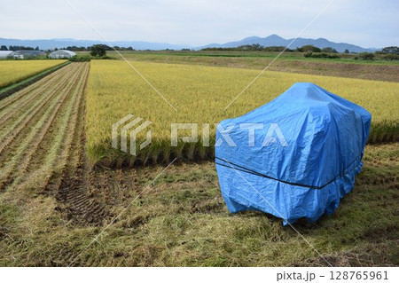 稲刈り作業中の田園風景 128765961