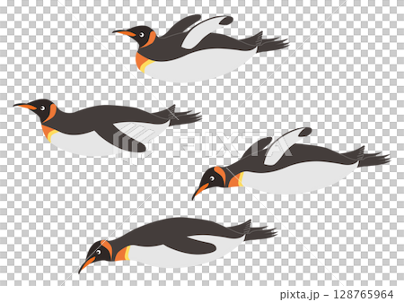 滑ったり泳ぐオウサマペンギンのイラストのセット 128765964