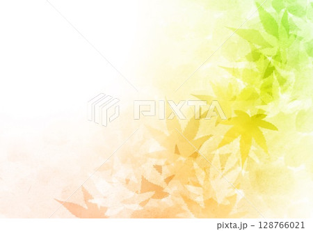 オレンジ色に染まった紅葉の背景 128766021