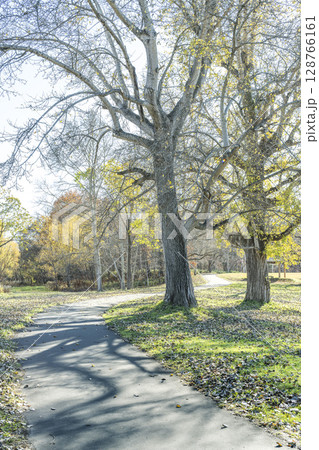 晩秋の真駒内公園 札幌市 晩秋の真駒内公園 札幌市 128766161