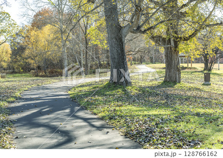 晩秋の真駒内公園 札幌市 晩秋の真駒内公園 札幌市 128766162