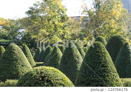 イチイの庭園　平岡樹芸センター　札幌市 128766176