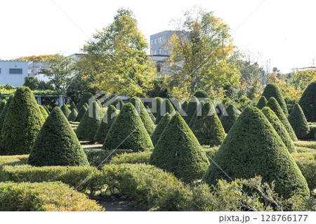 イチイの庭園　平岡樹芸センター　札幌市 128766177