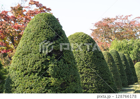 イチイの庭園　平岡樹芸センター　札幌市 128766178
