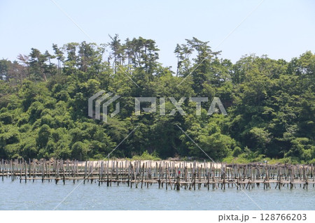 松島湾に浮かぶ海苔、牡蠣の養殖が盛んな浦戸諸島 128766203