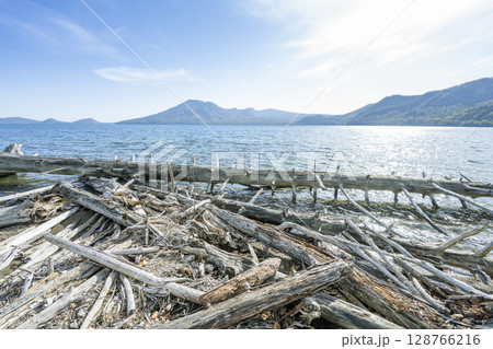 湖岸の流木　支笏湖、風不死岳、樽前山　千歳市 128766216
