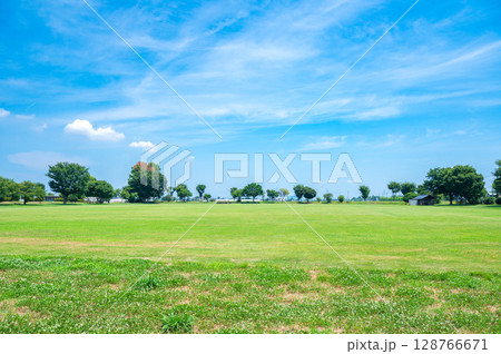 爽やかな青空と芝生公園 128766671