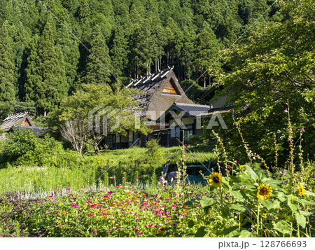 茅葺き屋根の古民家が建ち並ぶ美山かやぶきの里の風景 128766693