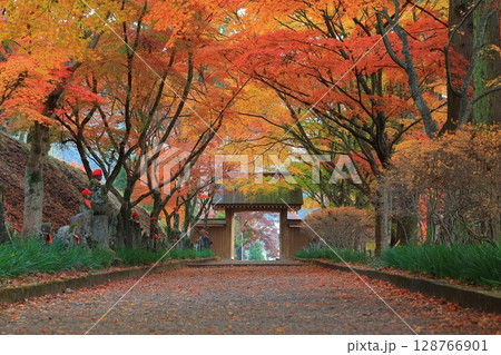 紅葉のある寺 128766901