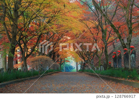 紅葉のある寺 紅葉のある寺 128766917