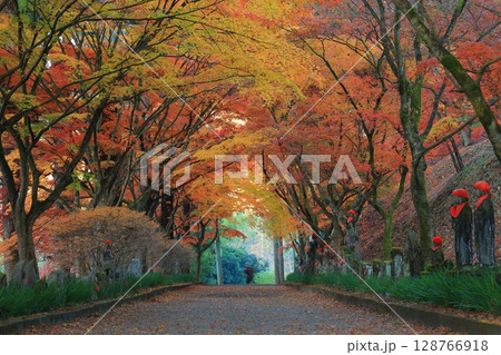 紅葉のある寺 128766918