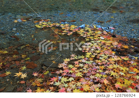 紅葉のある寺 128766924