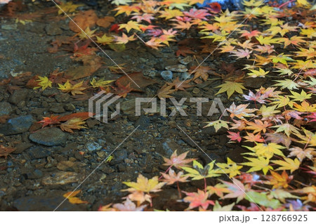 紅葉のある寺 紅葉のある寺 128766925