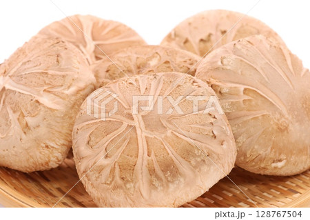 しいたけ　生どんこ　大きい　明るい背景　食材 128767504