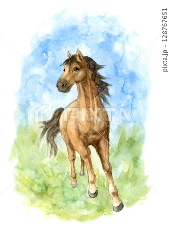 走る馬の水彩画 走る馬の水彩画 128767651
