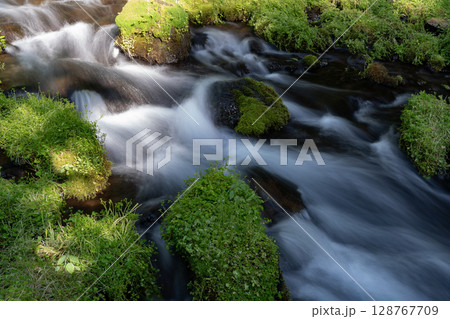 羊蹄山の伏流水ふきだし公園 128767709