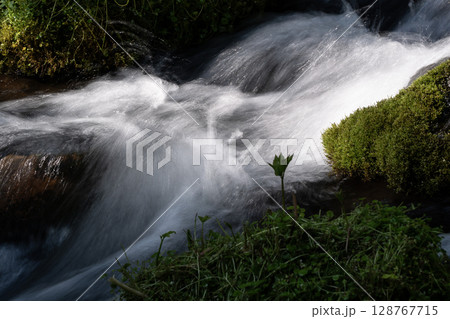 羊蹄山の伏流水ふきだし公園 羊蹄山の伏流水ふきだし公園 128767715