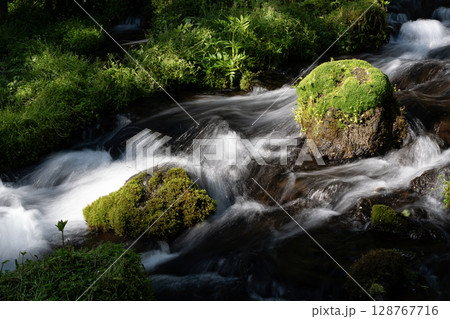羊蹄山の伏流水ふきだし公園 128767716