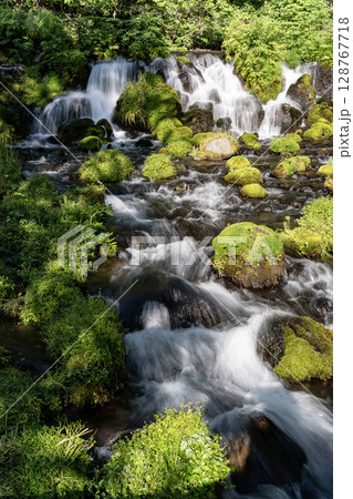 羊蹄山の伏流水ふきだし公園 128767718