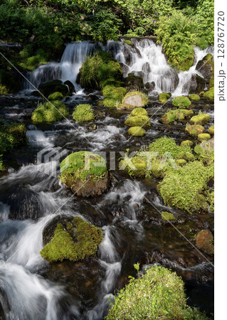 羊蹄山の伏流水ふきだし公園 128767720
