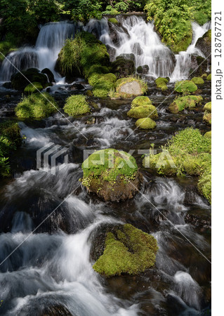羊蹄山の伏流水ふきだし公園 128767721