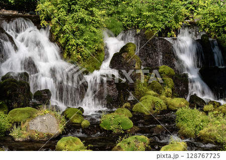 羊蹄山の伏流水ふきだし公園 128767725