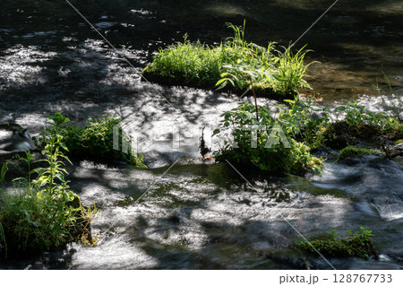 羊蹄山の伏流水ふきだし公園 128767733