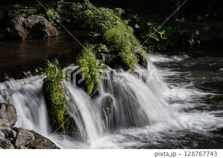 羊蹄山の伏流水ふきだし公園 羊蹄山の伏流水ふきだし公園 128767743