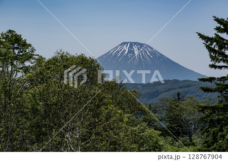残雪の羊蹄山 残雪の羊蹄山 128767904