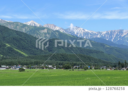 白馬の夏 山麓から望む北アルプス 白馬の夏 山麓から望む北アルプス 128768258