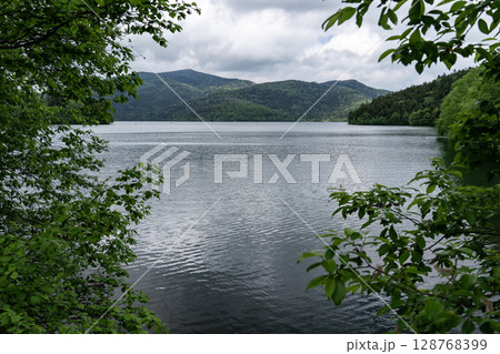 新緑の然別湖 128768399