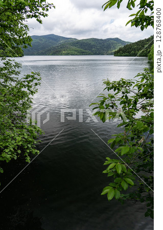 新緑の然別湖 新緑の然別湖 128768400