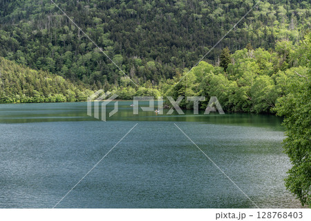 新緑の然別湖 新緑の然別湖 128768403