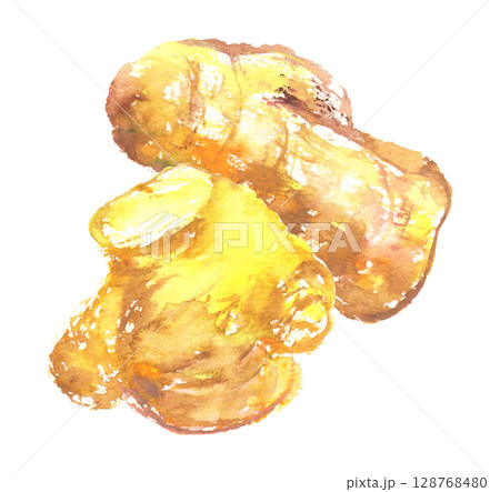 水彩で描いた生姜のイラスト 水彩で描いた生姜のイラスト 128768480