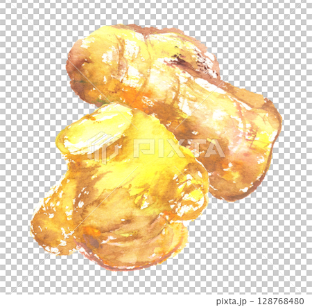 水彩畫的薑的插圖 128768480