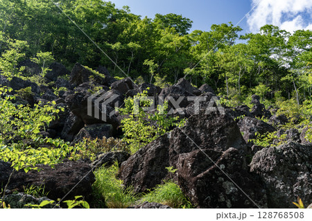 新緑の千畳崩れ 128768508